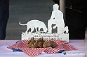 VBS_6211 - 10.ma Fiera Nazionale del Tartufo e Fiera dei Santi